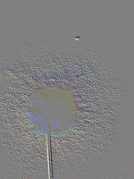 /album/galleria-foto-sfera-in-movimento/a542616-10151294586577142-1606047109-n44xx-jpg/