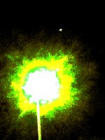 /album/galleria-foto-sfera-in-movimento/a542616-10151294586577142-1606047109-n44xx11cx-jpg/