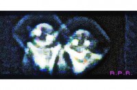 /album/entita-dentro-gli-orbs/a12249905-1672948852992101-7087378583642262454-npppp-jpg/