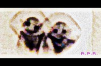 /album/entita-dentro-gli-orbs/a12249905-1672948852992101-7087378583642262454-npp-jpg/