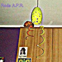 /album/entita-dentro-gli-orbs/a12647834-10208534485985617-1927712762-n-jpg/