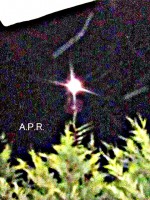 /album/entita-dentro-gli-orbs/a11198506-10205843872009451-24470875-nll-jpg/