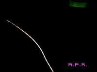 /album/entita-dentro-gli-orbs/a971007-10200716752575296-1896018786-ni-jpg/