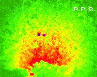 /album/ufo-avvistamento-14-ottobre-2016-a-p-r-siracusa/img-20161014-wa0006oo-jpg/