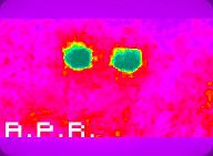 /album/ufo-avvistamento-14-ottobre-2016-a-p-r-siracusa/img-20161014-wa0006jl-jpg1/